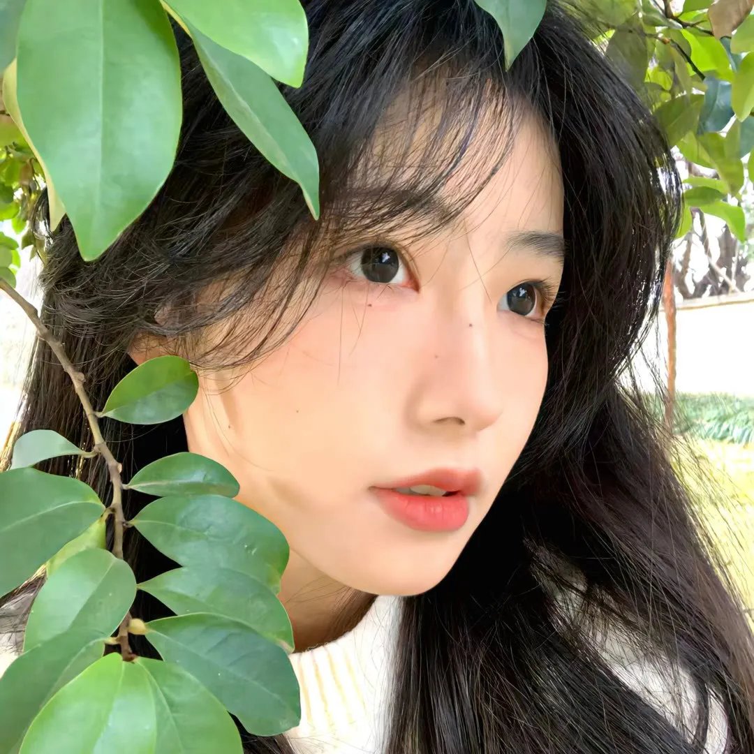 你还记得杜莉贝尔吗？